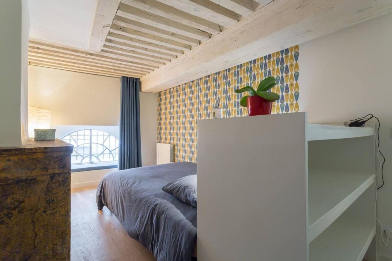 Character Apartment 6 People - City Center Lyon Kültér fotó